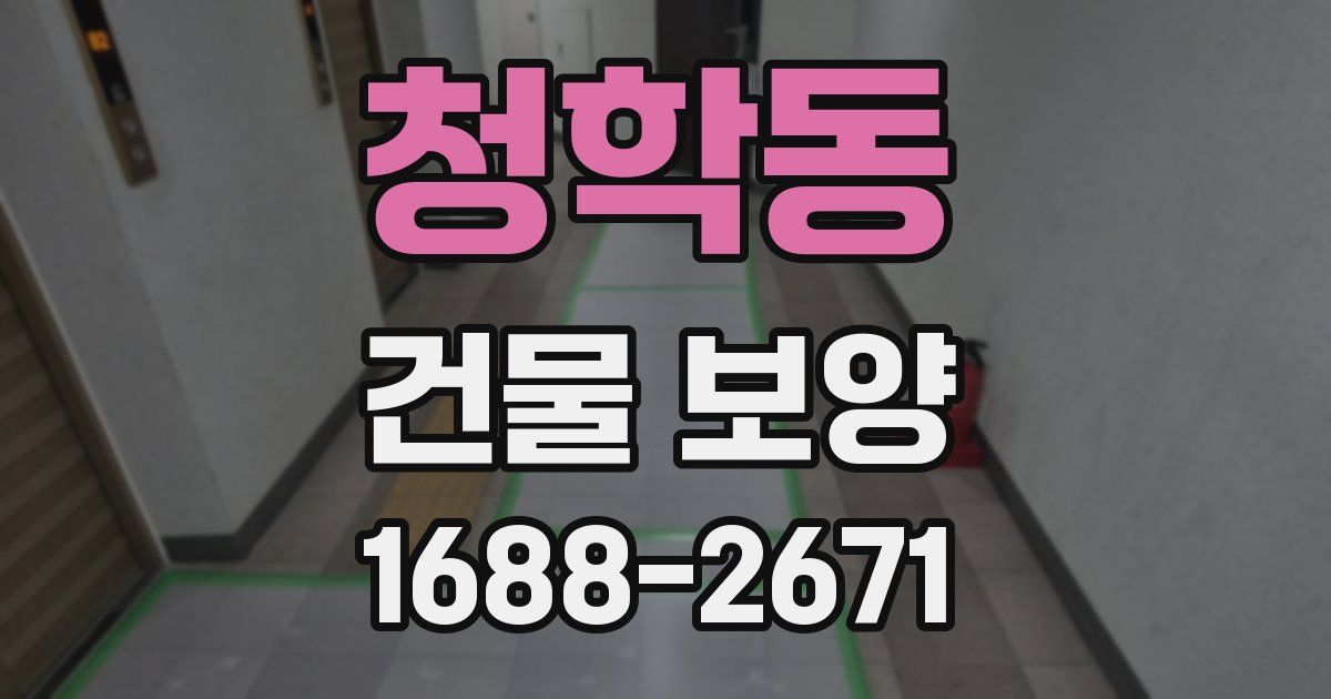 청학동 건물 보양