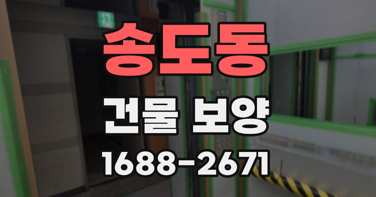 송도동 건물 보양