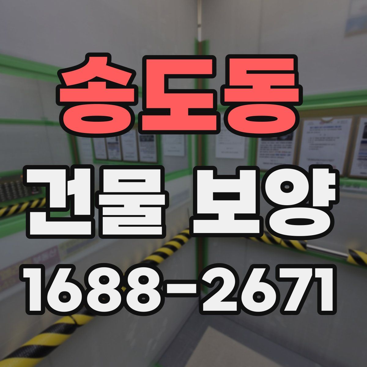 송도동 건물 보양