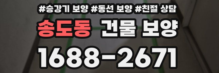 송도동 건물 보양