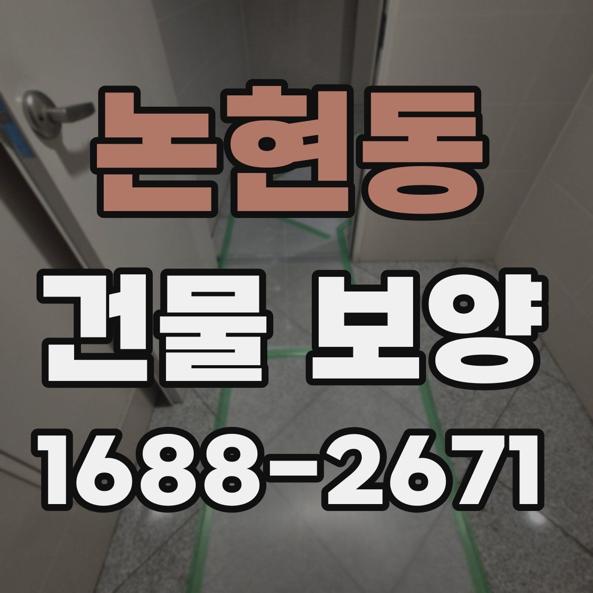논현동 건물 보양