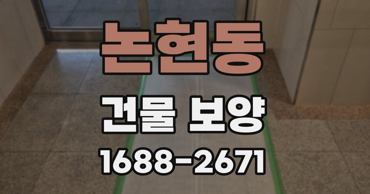 논현동 건물 보양