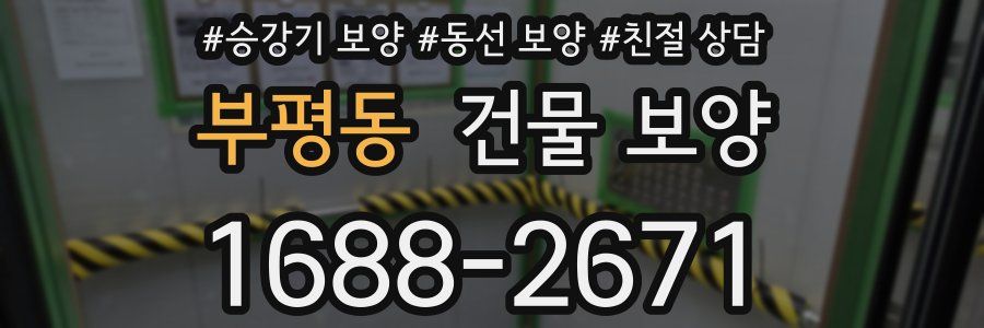 부평동 건물 보양