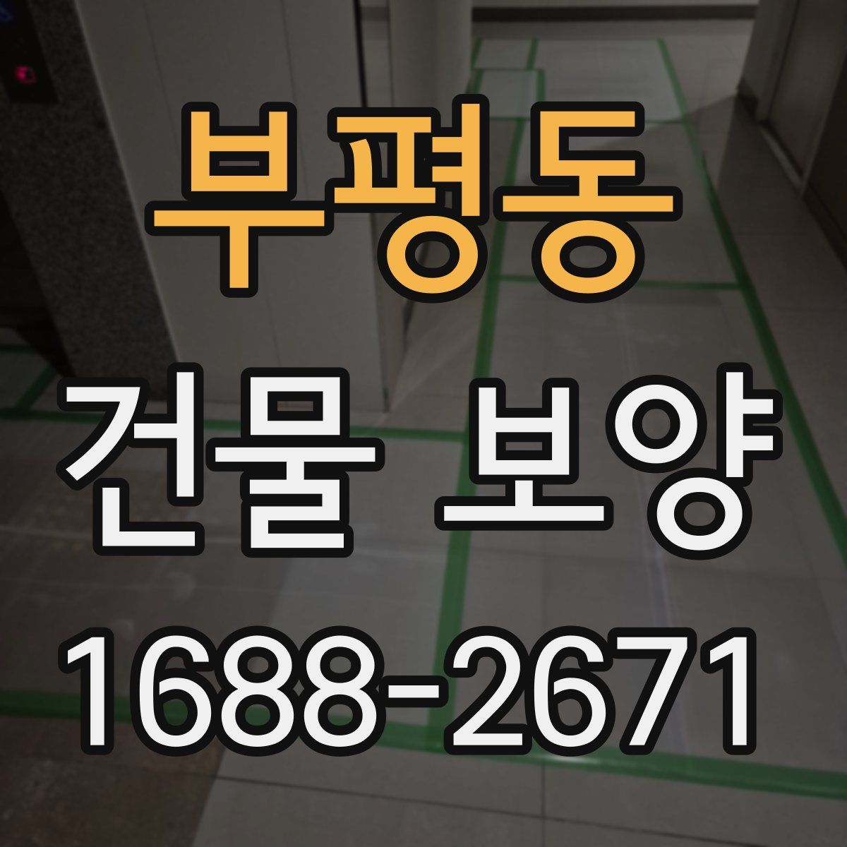 부평동 건물 보양