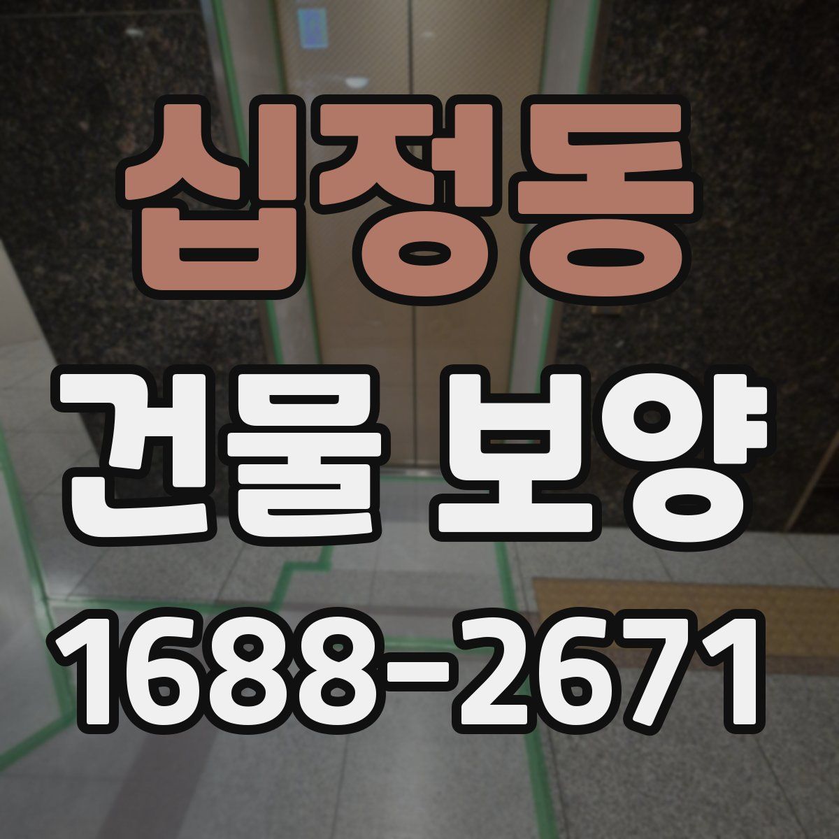 십정동 건물 보양