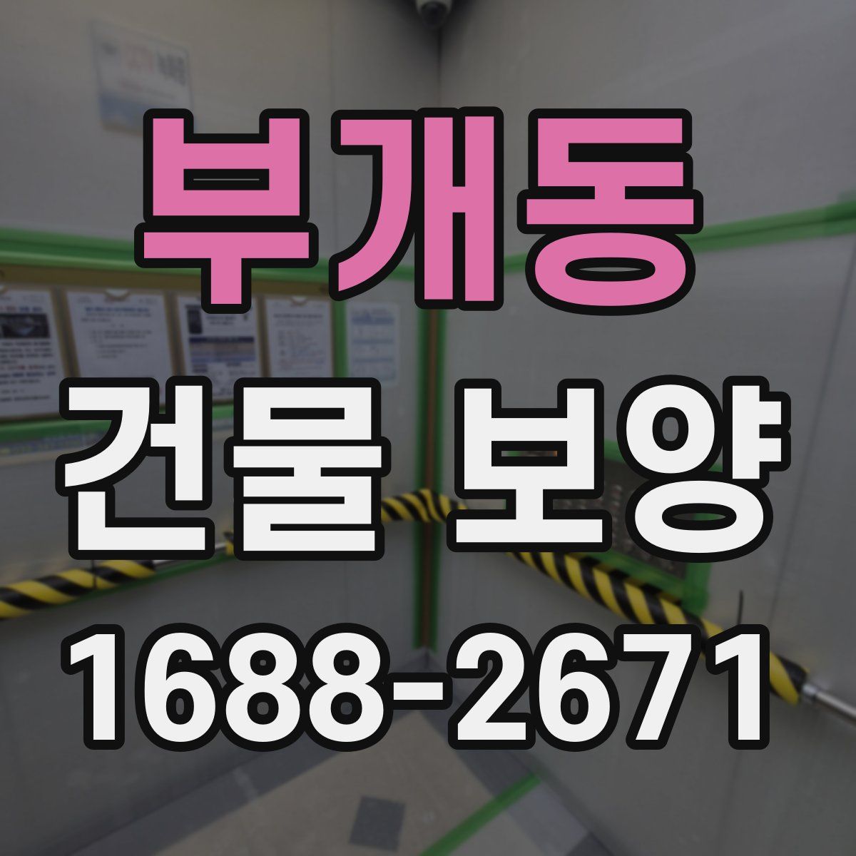 부개동 건물 보양