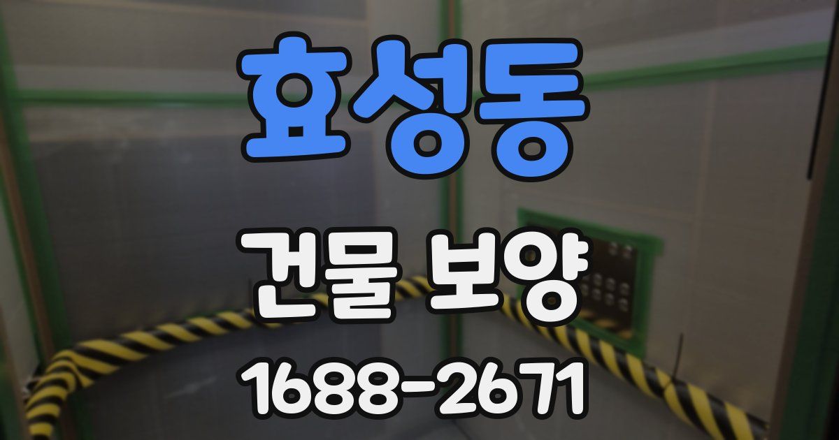 효성동 건물 보양