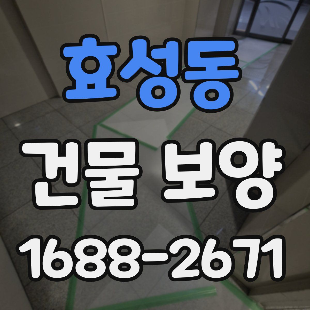 효성동 건물 보양