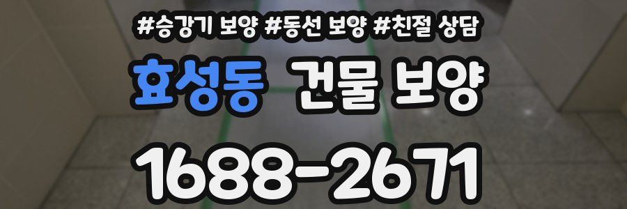 효성동 건물 보양