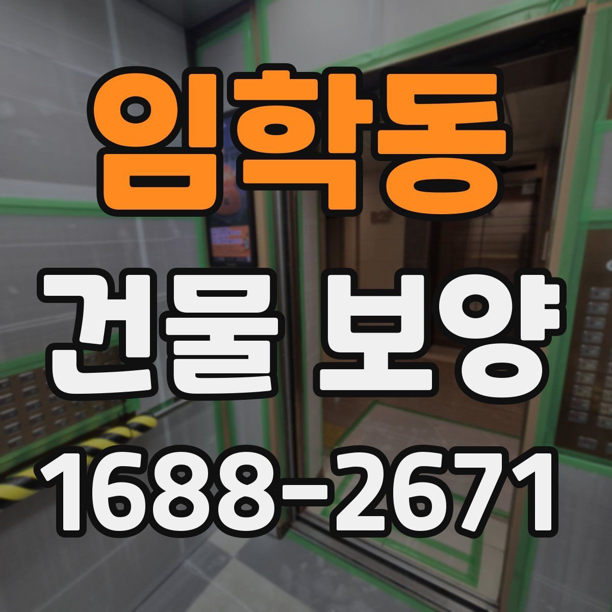임학동 건물 보양