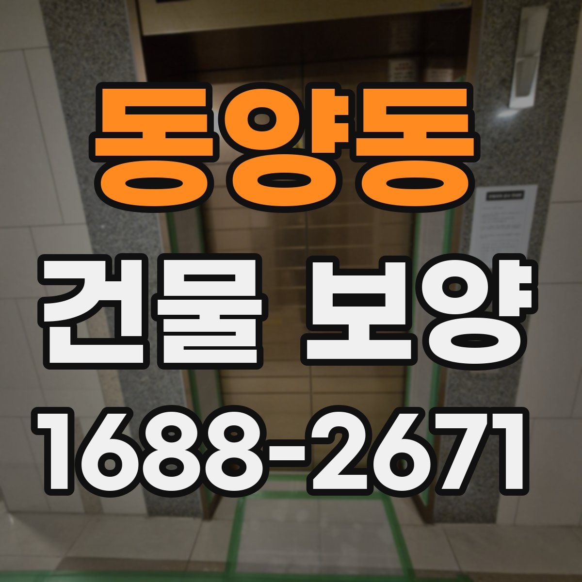 동양동 건물 보양