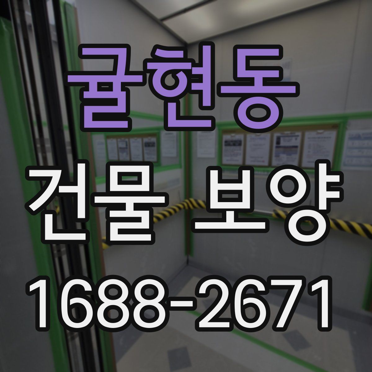 귤현동 건물 보양