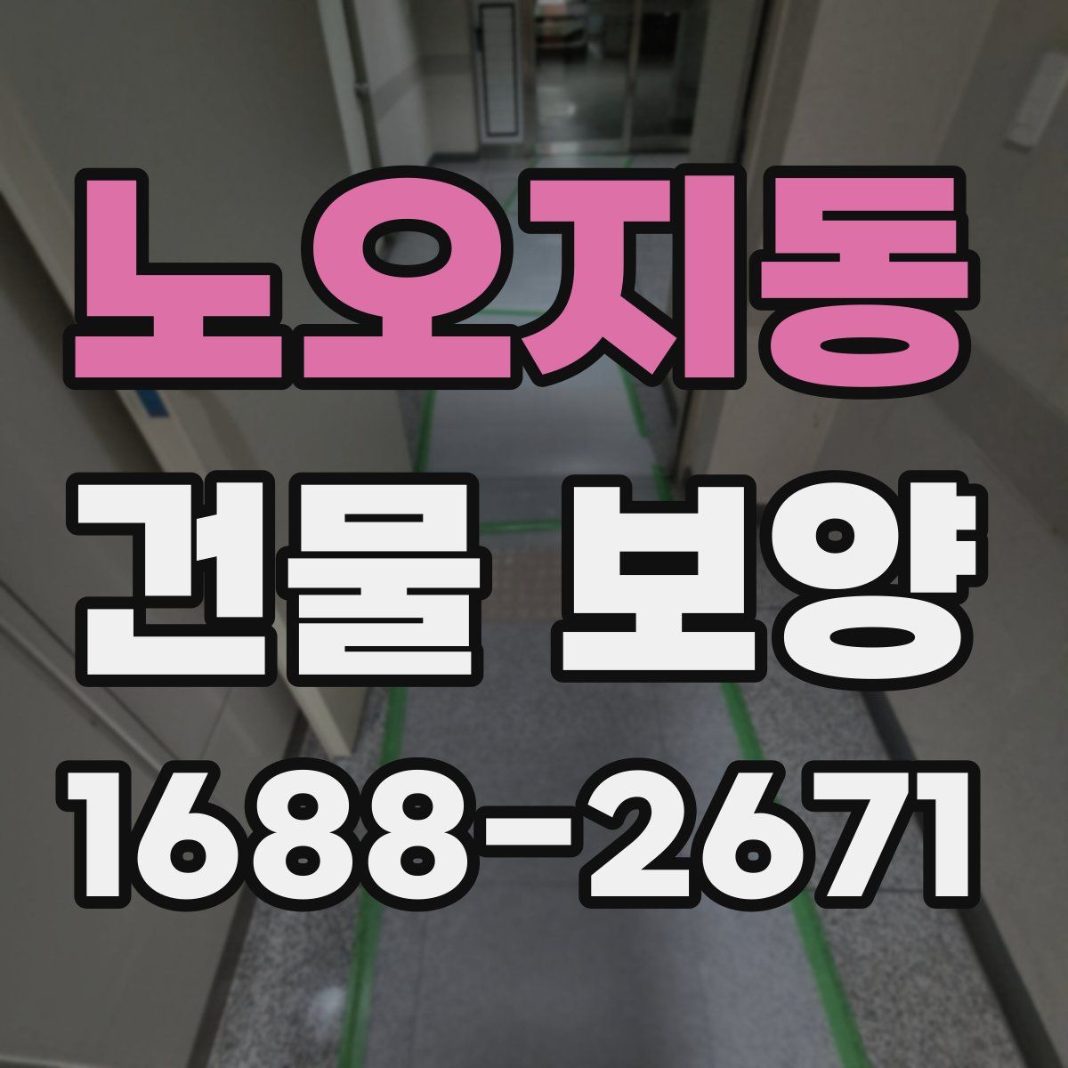 노오지동 건물 보양