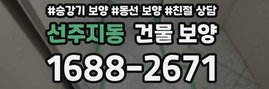 선주지동 건물 보양