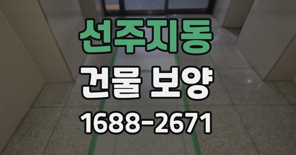 선주지동 건물 보양