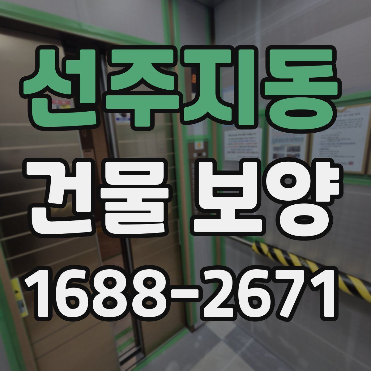 선주지동 건물 보양