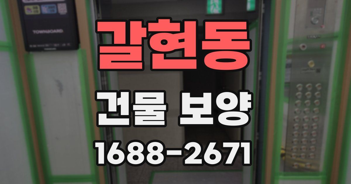갈현동 건물 보양