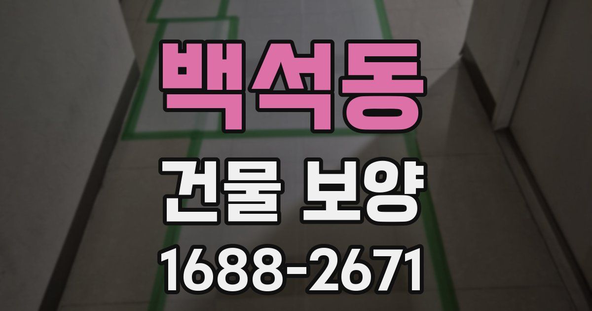 백석동 건물 보양