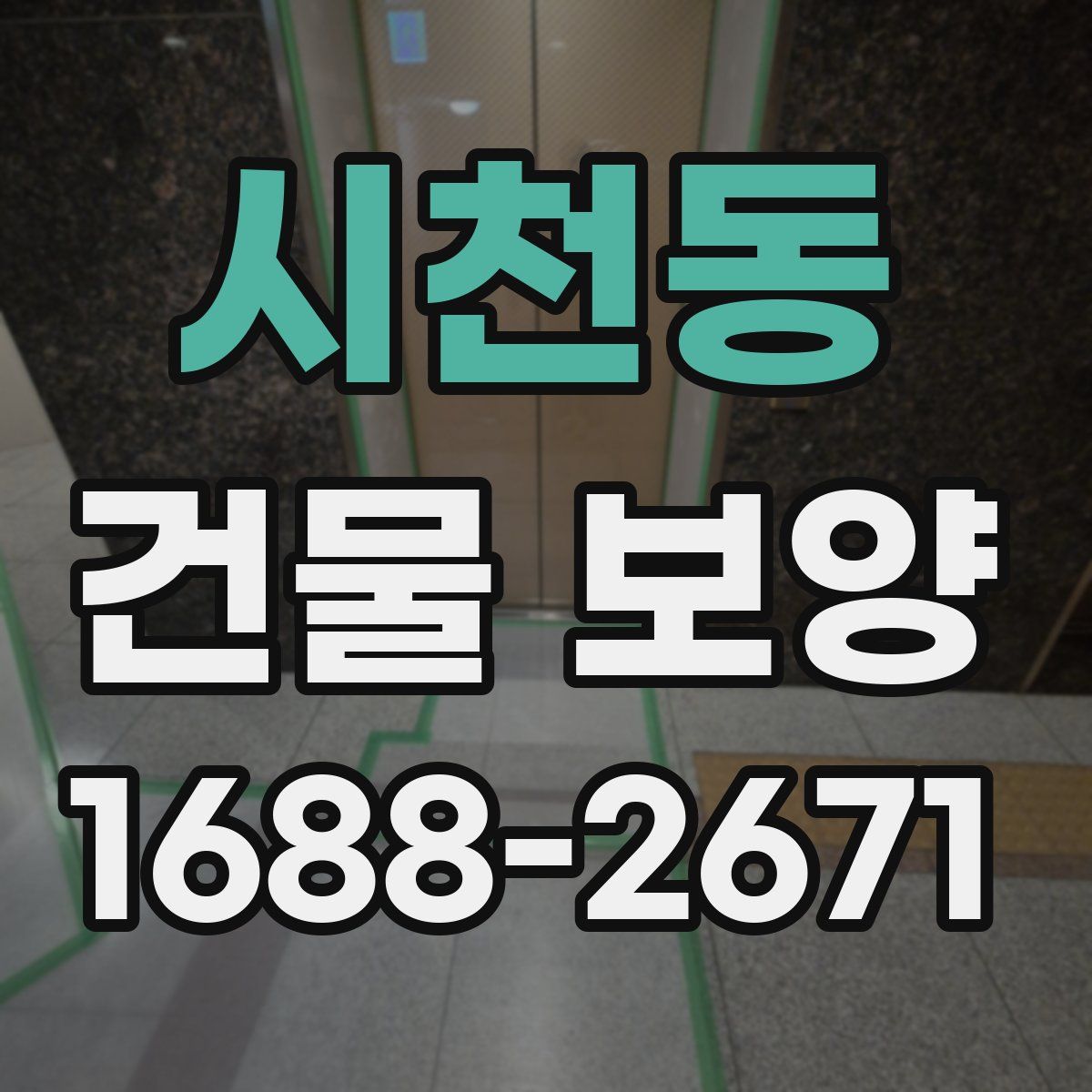 시천동 건물 보양