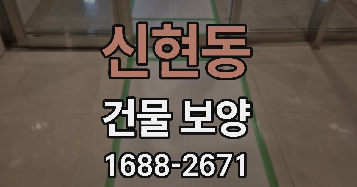 신현동 건물 보양