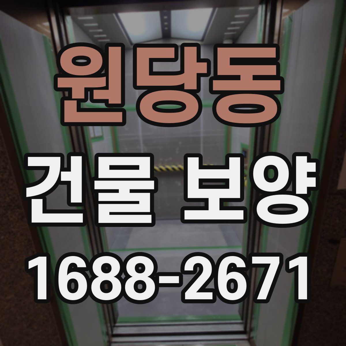 원당동 건물 보양