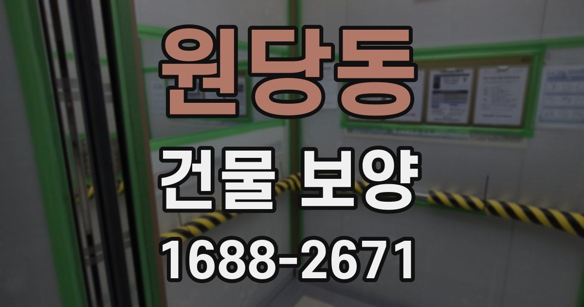 원당동 건물 보양