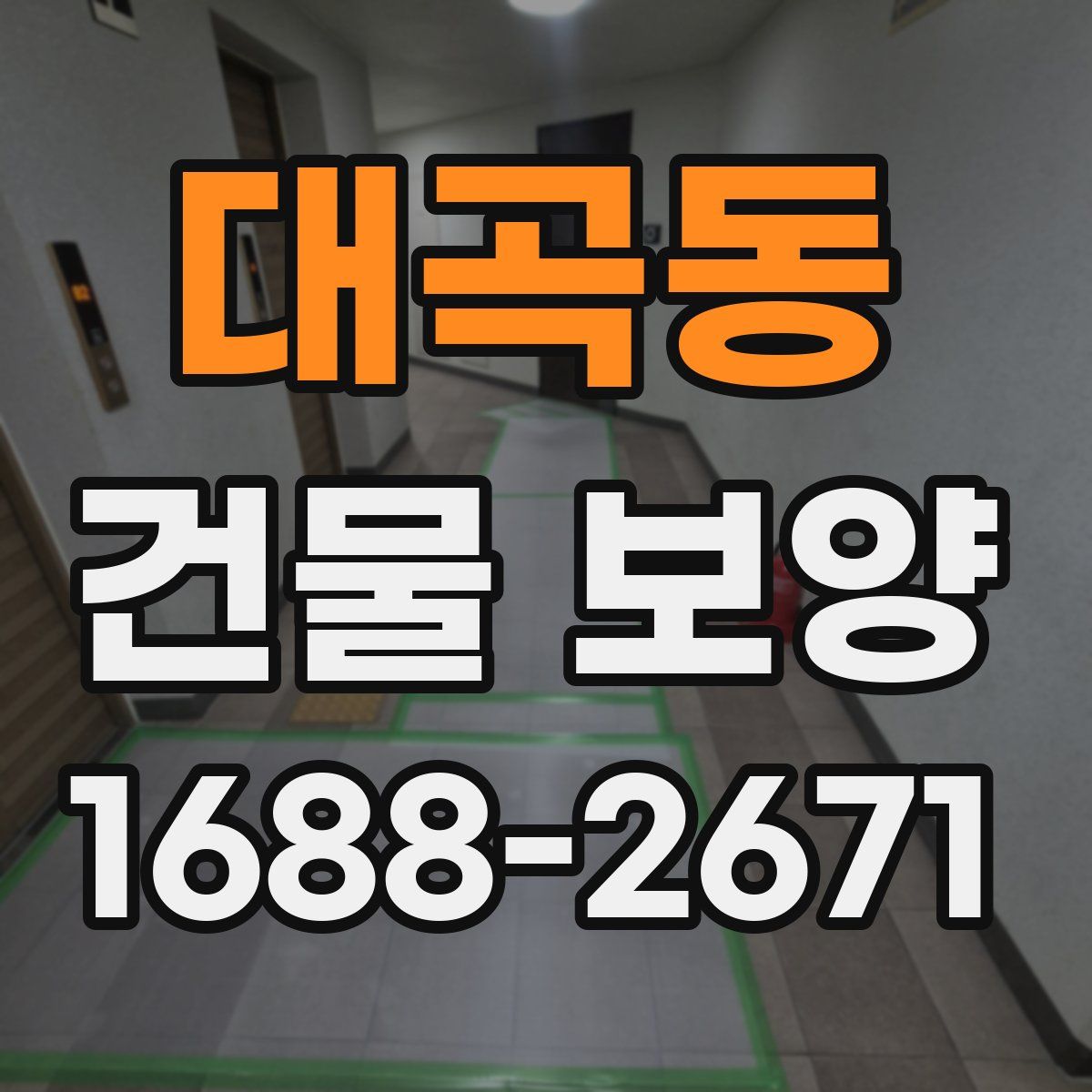 대곡동 건물 보양