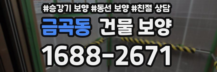 금곡동 건물 보양