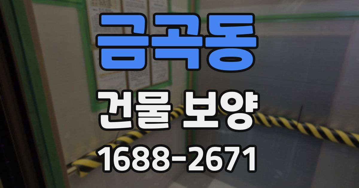 금곡동 건물 보양