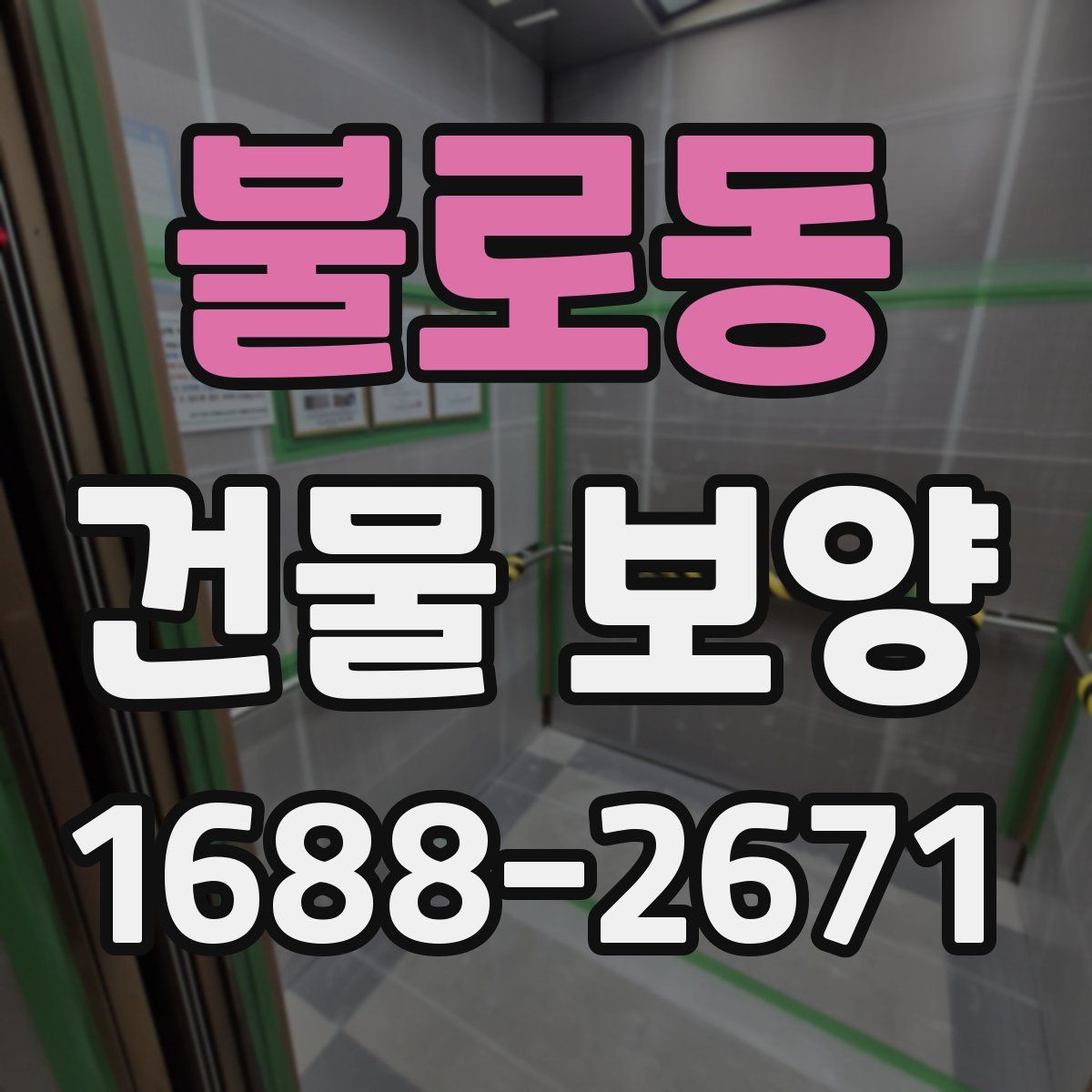 불로동 건물 보양