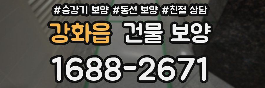 강화읍 건물 보양