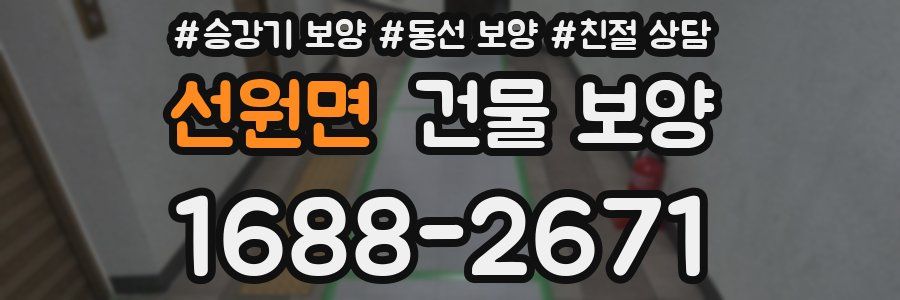 선원면 건물 보양