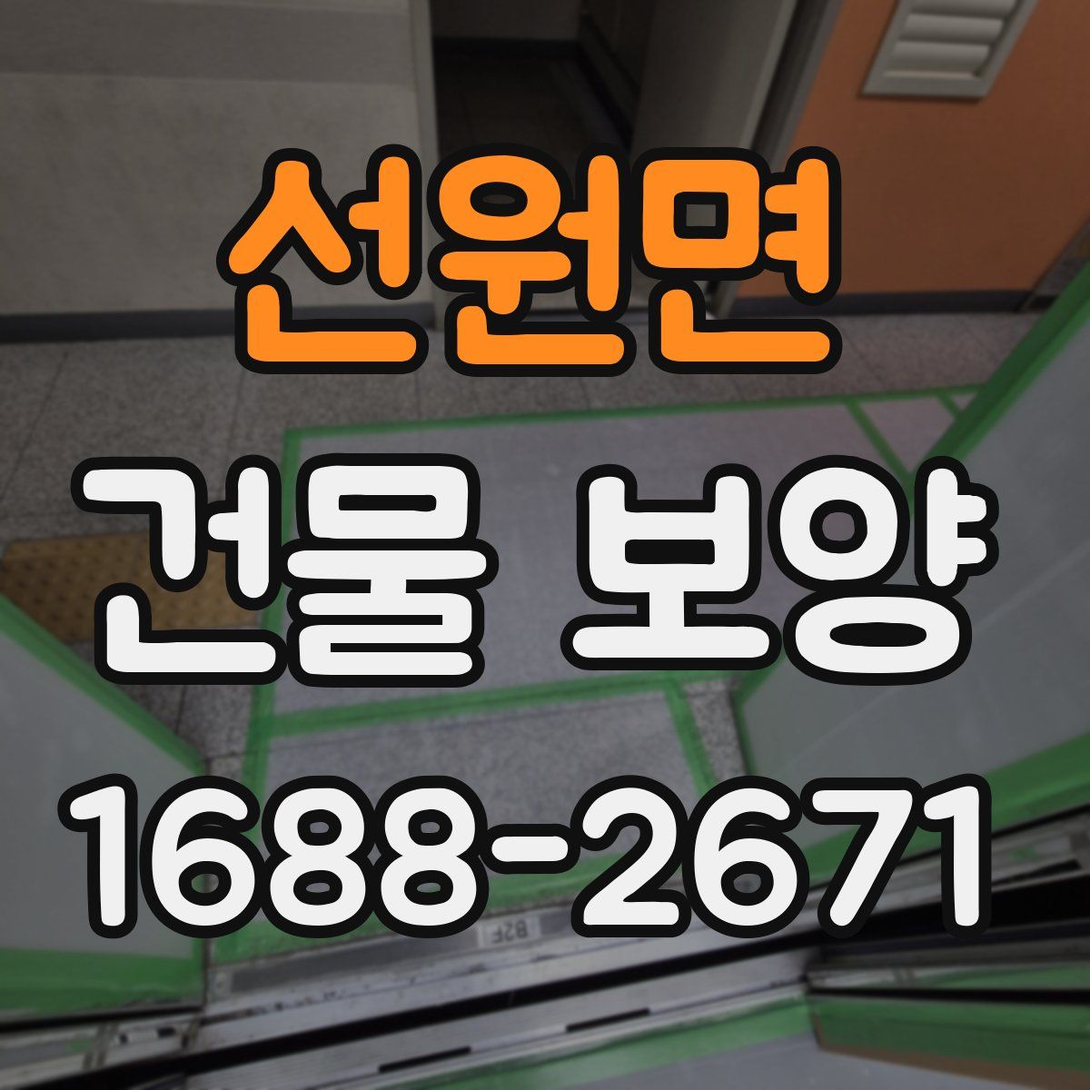선원면 건물 보양