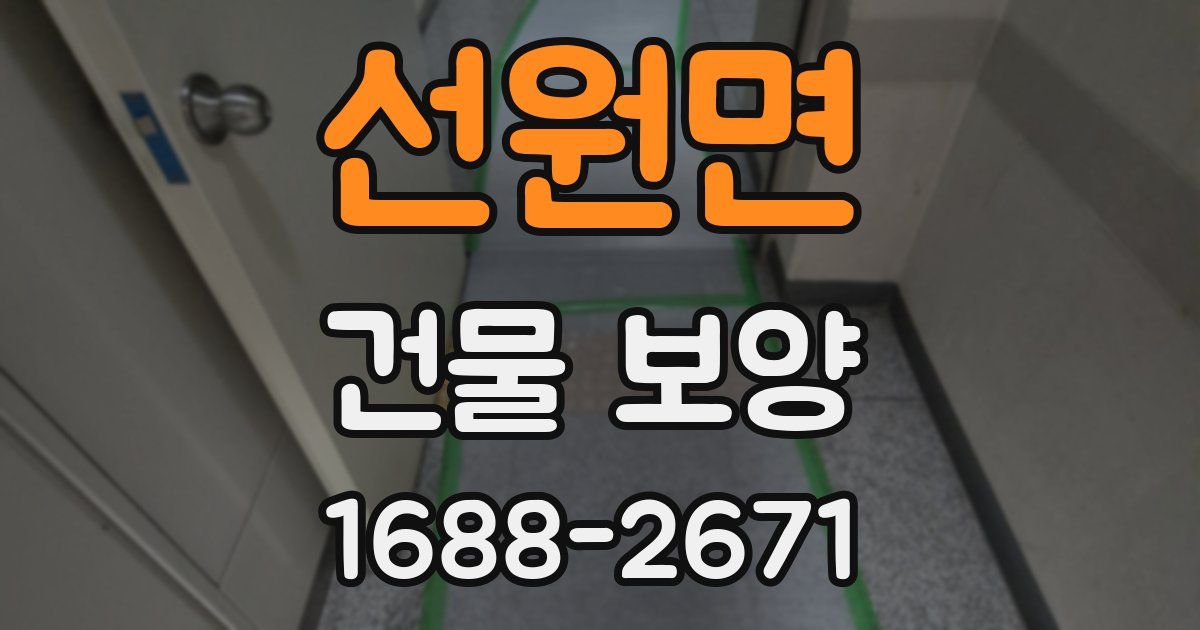 선원면 건물 보양
