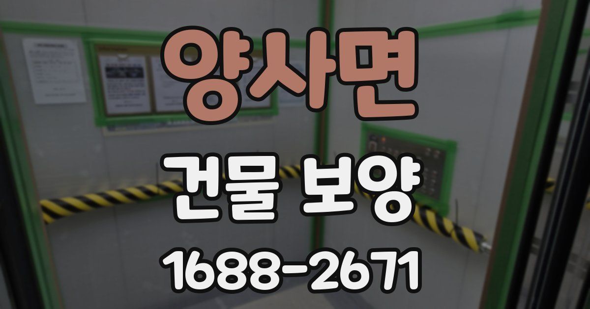 양사면 건물 보양