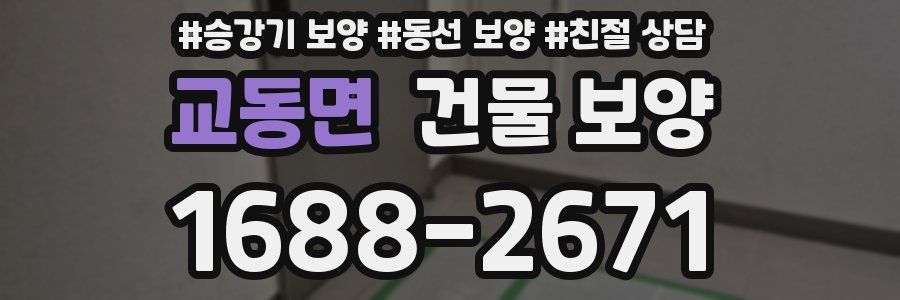 교동면 건물 보양