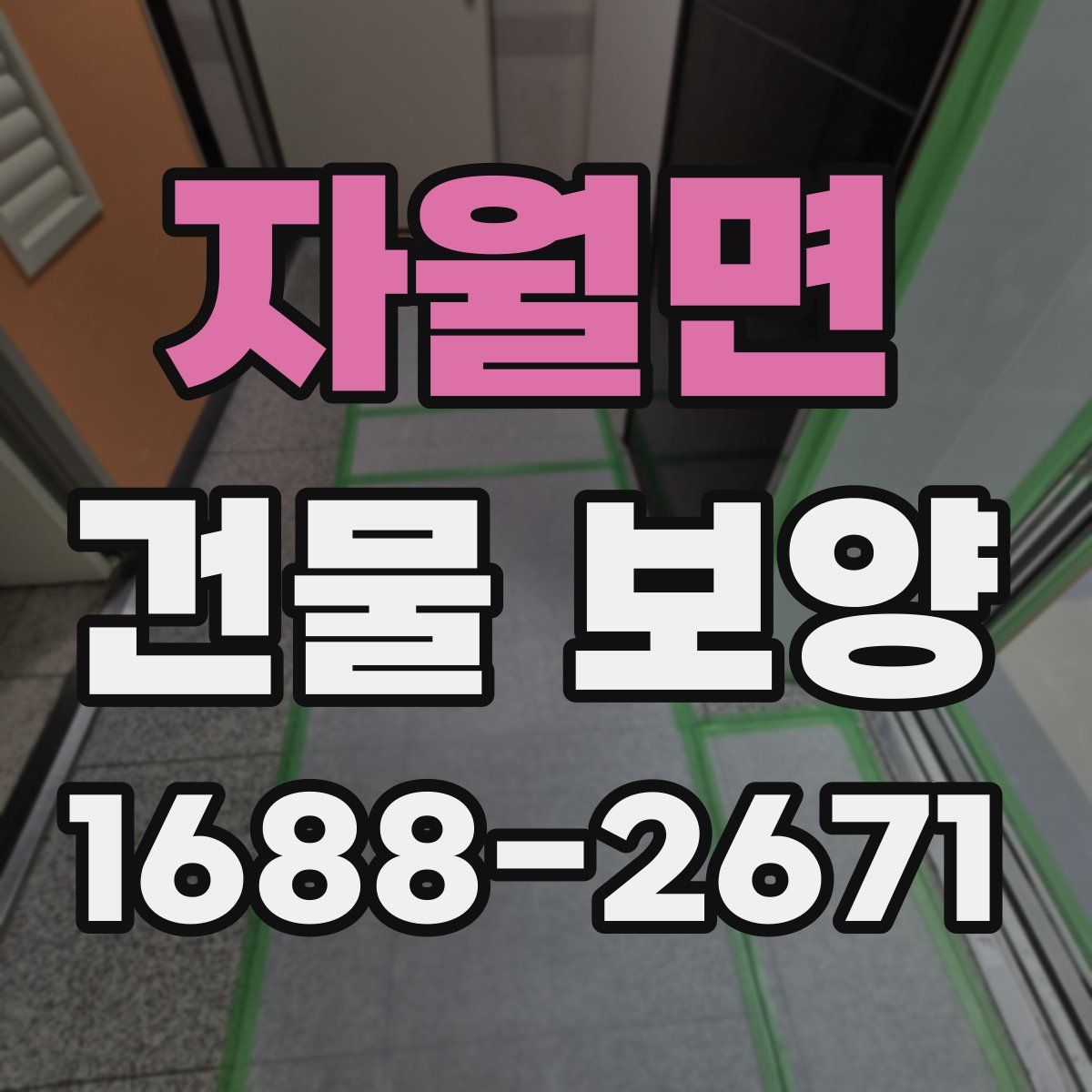 자월면 건물 보양