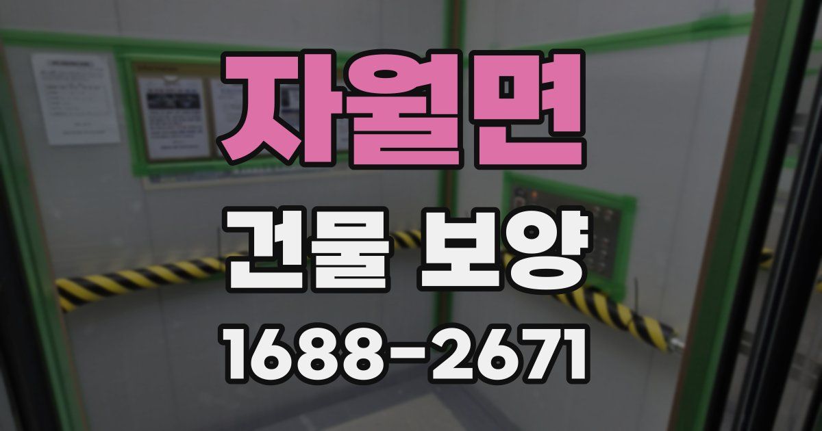 자월면 건물 보양