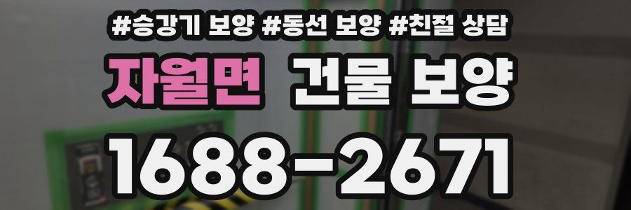 자월면 건물 보양