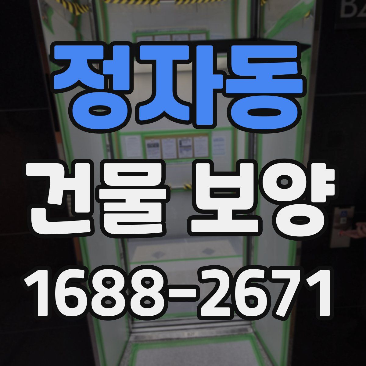 정자동 건물 보양