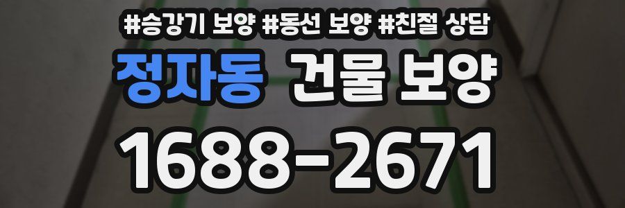 정자동 건물 보양