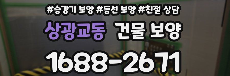 상광교동 건물 보양