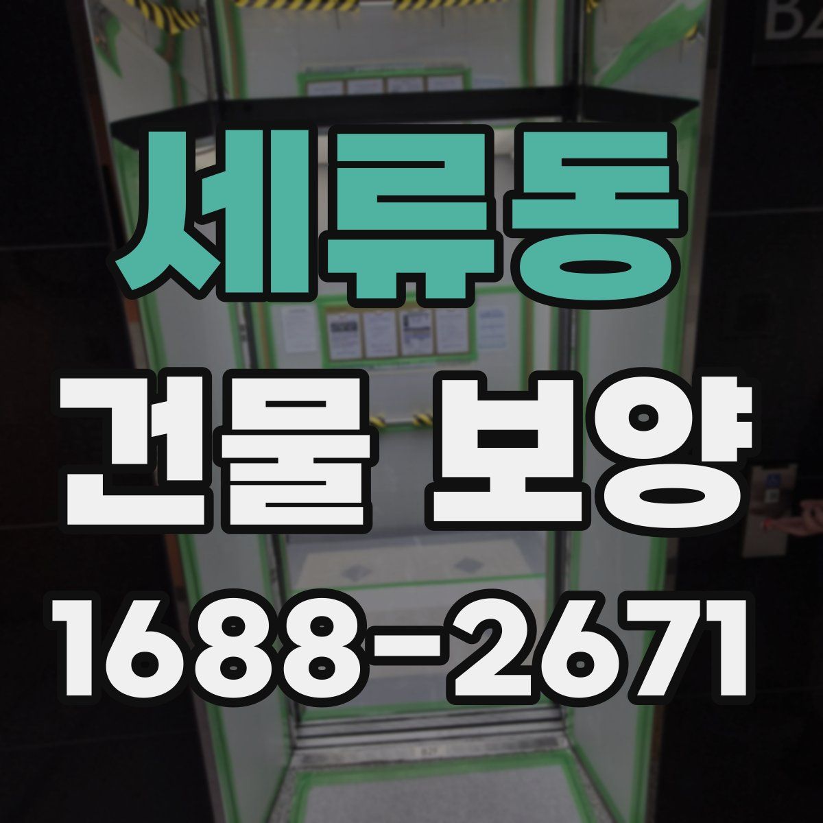 세류동 건물 보양