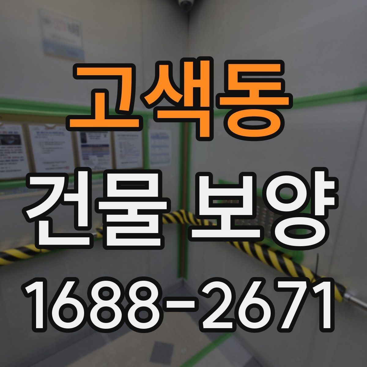 고색동 건물 보양 범위를 정할 때 체크할 부분