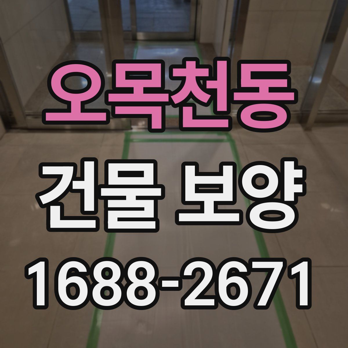 오목천동 건물 보양