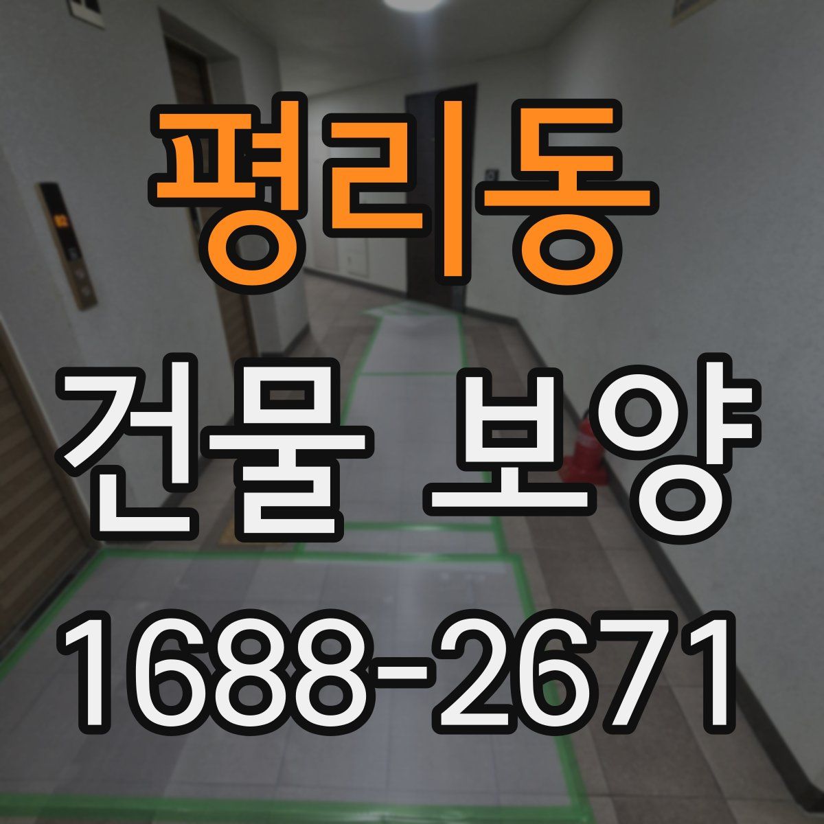 평리동 건물 보양