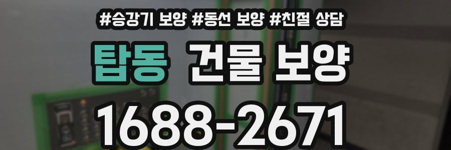 탑동 건물 보양