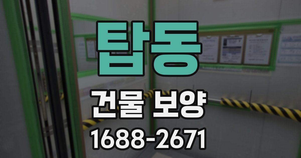 탑동 건물 보양