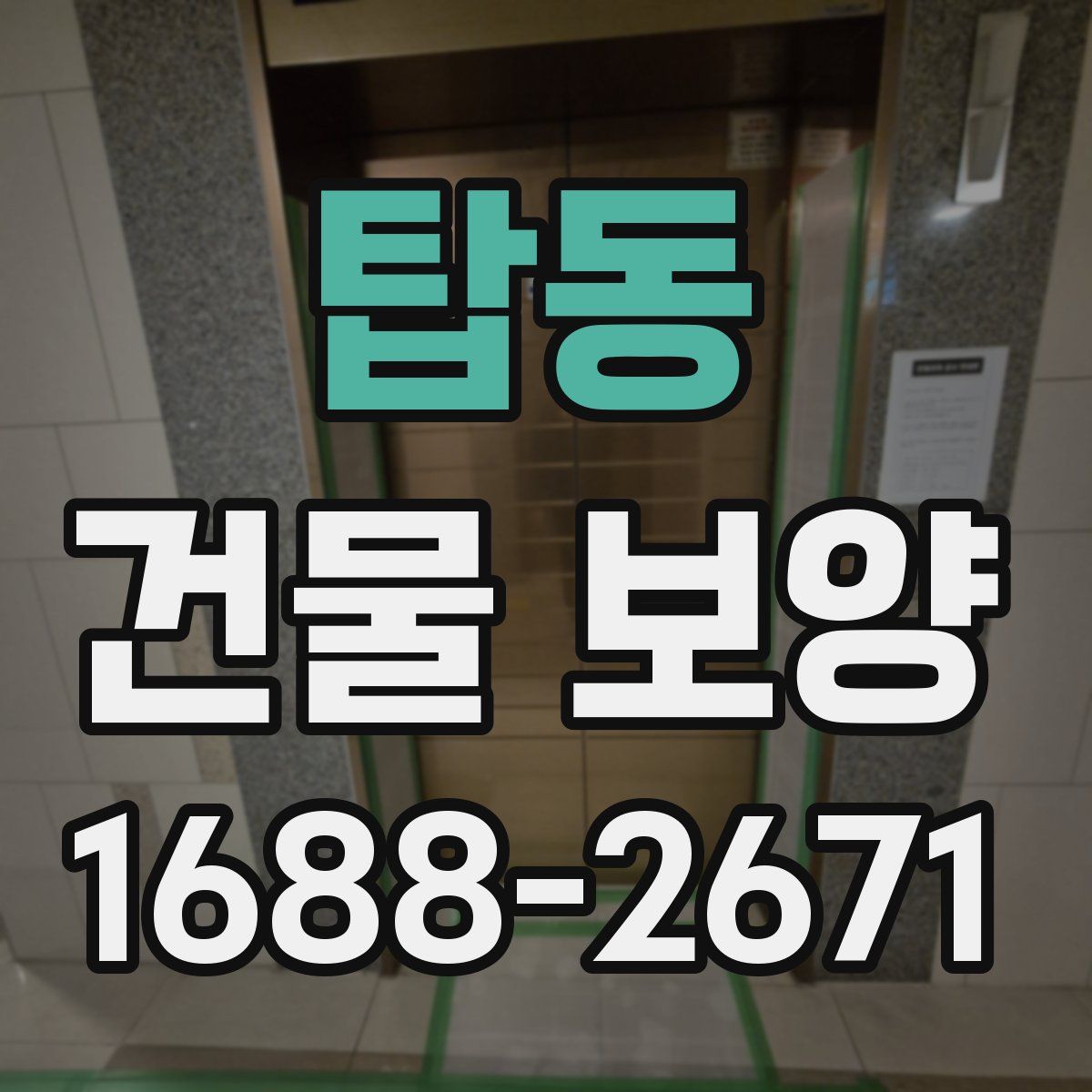 탑동 건물 보양