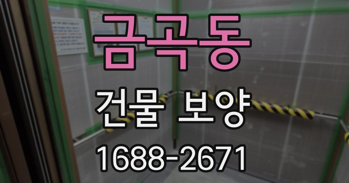금곡동 건물 보양
